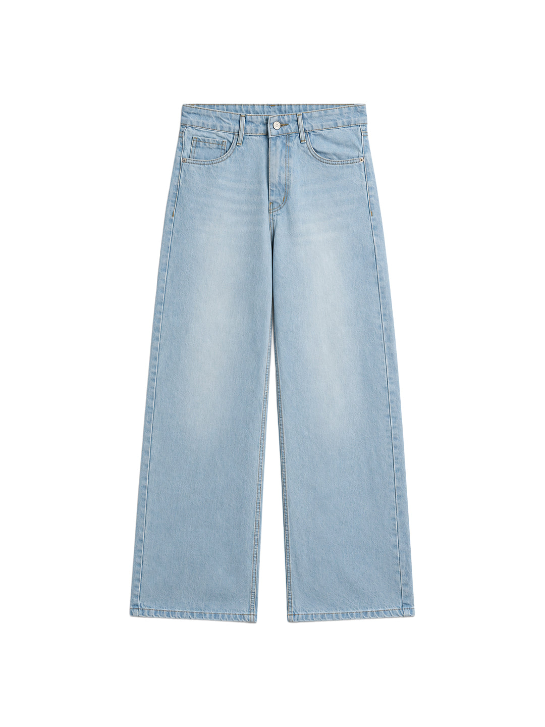 Ice Ripped Denim