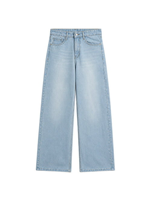 Ice Ripped Denim