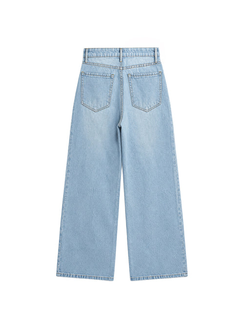 Ice Ripped Denim